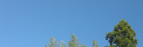 �M�z�d�C�h�Њ������