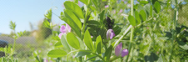 �M�z�d�C�h�Њ������